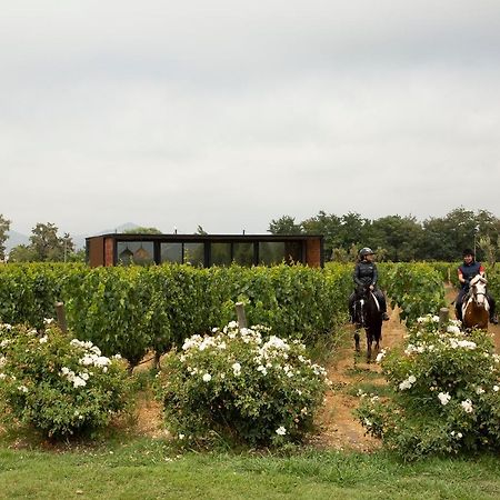 Vibo Wine Lodge At Viu Manent Санта-Крус Екстер'єр фото