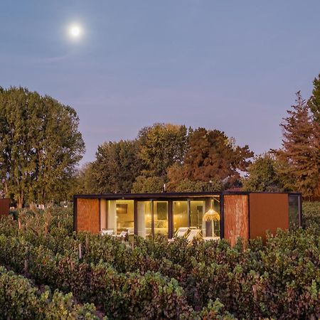 Vibo Wine Lodge At Viu Manent Санта-Крус Екстер'єр фото