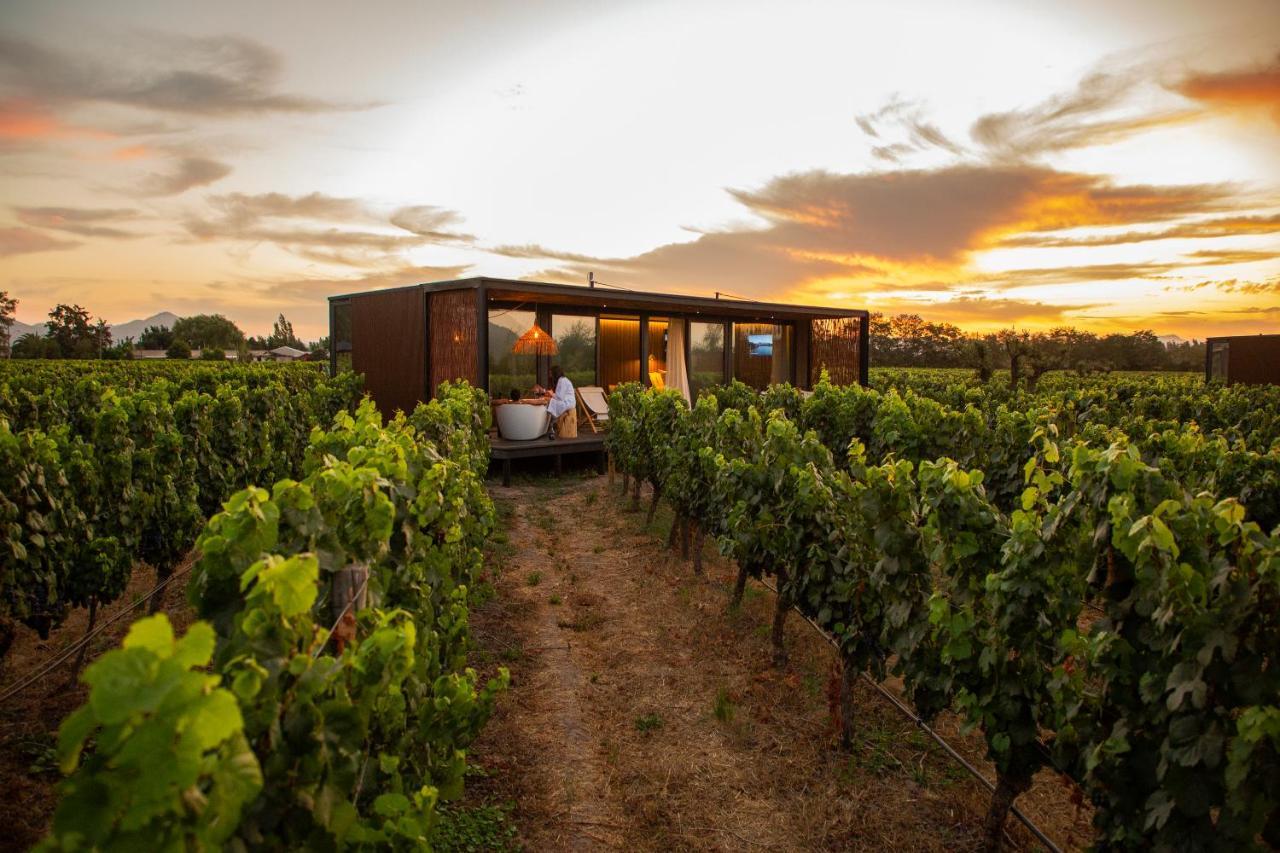Vibo Wine Lodge At Viu Manent Санта-Крус Екстер'єр фото